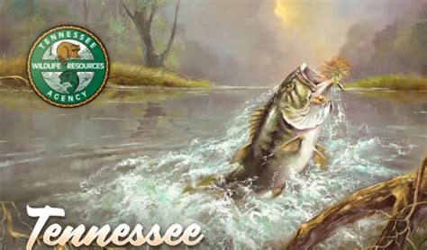 how much is a lifetime fishing license in tn|GUIDE .